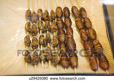 Silkworm chrysalis on tray View Large Photo Image Stock Image - Silkworm chrysalis on tray. Fotosearch
