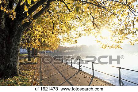Stock Photo - bregenz, autumn, banks, back light, away, calf, austria. Fotosearch