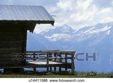calf, alpe, cabin, bath, austria, calm, alp View Large Photo Image Stock Photo - calf, alpe, cabin, bath, austria, calm, alp. Fotosearch