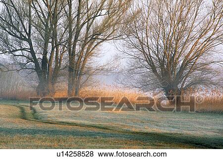 Stock Photo - calm, autumn, calf, banks, away, glow, austria. Fotosearch
