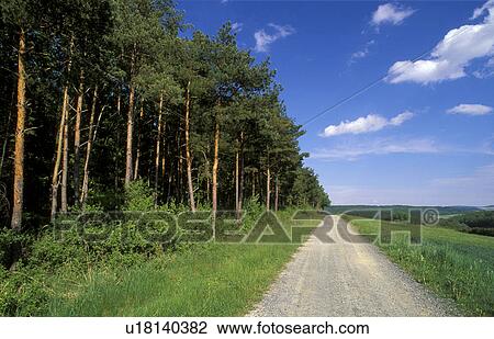 Stock Image - clouds, blue, city-sew, calf, burgenland, deciduous forest, austria. Fotosearch