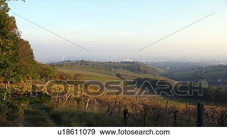Stock Photo - environment, Austria, city, camphora, autumn, atmosphere. Fotosearch