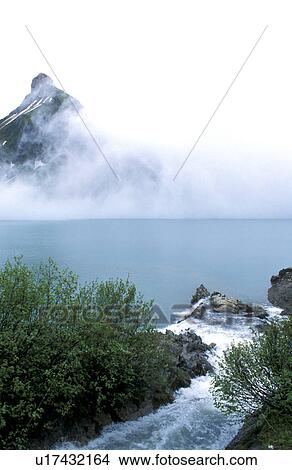 fog, austria, day, cow, Bernhard, Austria View Large Photo Image Picture - fog, austria, day, cow, Bernhard, Austria. Fotosearch