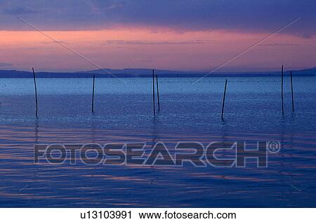 lichtstimmung, rohrspitz, austria, calf, calm, lake, landscape View Large Photo Image Stock Image - lichtstimmung, rohrspitz, austria, calf, calm, lake, landscape. Fotosearch