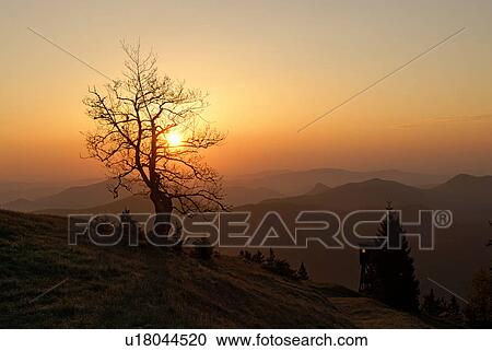 paint, scenery, austria, mood, panorama, Austria View Large Photo Image Stock Image - paint, scenery, austria, mood, panorama, Austria. Fotosearch