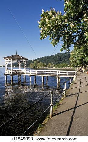 seepark, austria, banks, blue, bregenz, calf, calm View Large Photo Image Stock Image - seepark, austria, banks, blue, bregenz, calf, calm. Fotosearch
