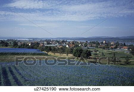 Stock Image - bathe, central cell, clouds, cloudy, gemuesefeld, germany, high-wait. Fotosearch