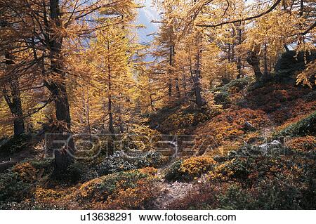Stock Image - CAN clay/tone, Alps, brown, Bernhard, autumn, alps. Fotosearch