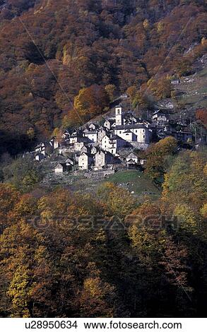 Picture - canton, autumn, CAN clay/tone, brown, Bernhard, ansiedung. Fotosearch