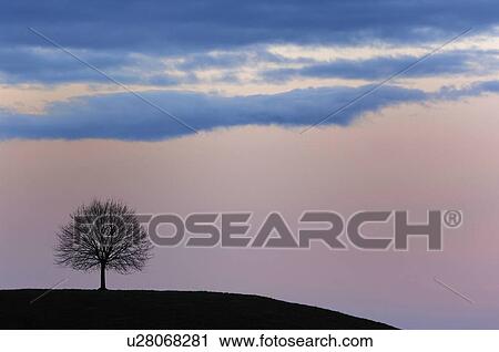 canton, hill, hirzel, huwiler, landscape, moraenenhuegel, moraenenlandschaft View Large Photo Image Stock Image - canton, hill, hirzel, huwiler, landscape, moraenenhuegel, moraenenlandschaft. Fotosearch