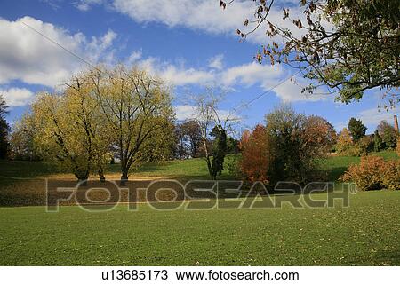 green, autumn-like, colorful, colored, clouds, autumn View Large Photo Image Stock Image - green, autumn-like, colorful, colored, clouds, autumn. Fotosearch