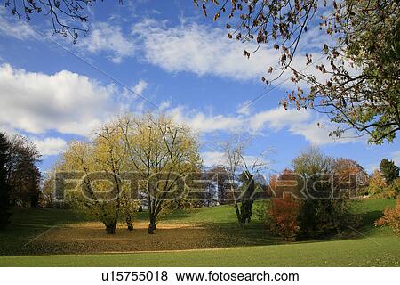 Stock Photo - green, autumn-like, colorful, colored, clouds, autumn. Fotosearch