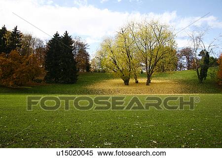 green, autumn-like, colorful, colored, clouds, autumn View Large Photo Image Stock Photography - green, autumn-like, colorful, colored, clouds, autumn. Fotosearch