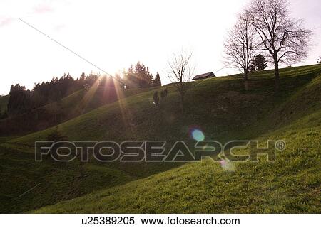 Stock Photography - weide, rasen, abschuessig, area, atmosphere, back light, beam. Fotosearch