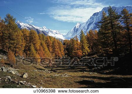 Stock Photo - brown, Alps, blue, Bernhard, autumn, alps. Fotosearch