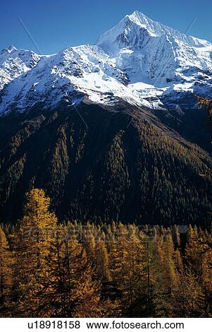 Stock Photo - brown, Alps, blue, Bernhard, autumn, alps. Fotosearch