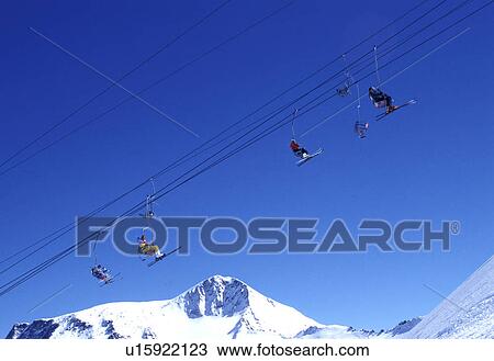 Stock Image - cow, Alps, cold, blue, Bernhard, alps. Fotosearch