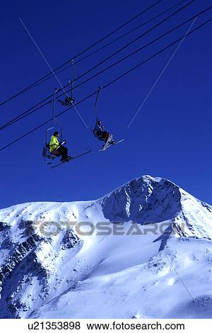 Stock Photo - cow, Alps, cold, blue, Bernhard, alps. Fotosearch
