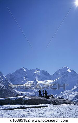 Stock Image - day, alps, cow, blue, Bernhard, Alps. Fotosearch