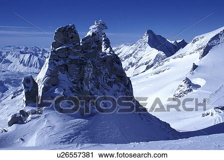 Stock Image - day, Alps, cow, blue, Bernhard, alps. Fotosearch