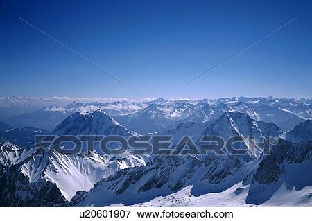 Stock Photo - day, Alps, cow, blue, Bernhard, alps. Fotosearch