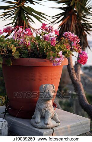Flower pot with dog statue View Large Photo Image Stock Image - Flower pot with dog statue. Fotosearch