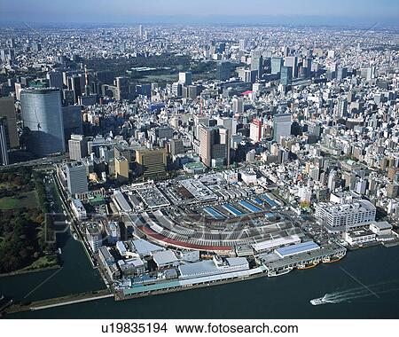 Aerial view of Tokyo, Japan View Large Photo Image Picture - Aerial view of Tokyo, Japan. Fotosearch