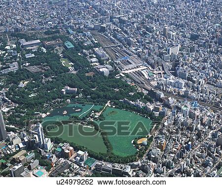 Aerial view of Tokyo, Japan View Large Photo Image Stock Image - Aerial view of Tokyo, Japan. Fotosearch