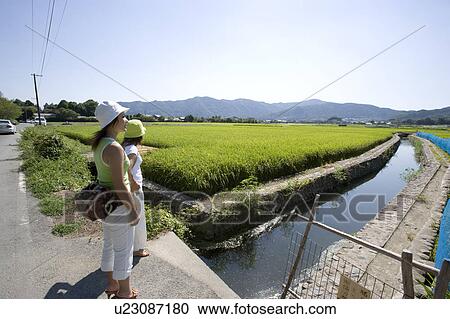 Two young women looking at rice paddy View Large Photo Image Stock Image - Two young women looking at rice paddy. Fotosearch