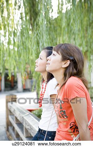 Two young women looking at view in Gion, Kyoto, Japan View Large Photo Image Stock Image - Two young women looking at view in Gion, Kyoto, Japan. Fotosearch
