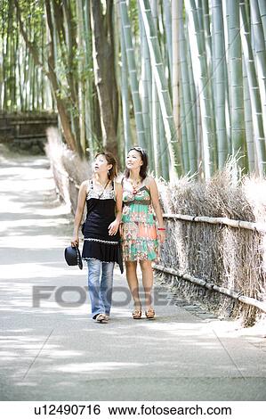 Two young women walking in bamboo forest, Sagano, Kyoto, Japan View Large Photo Image Stock Photograph - Two young women walking in bamboo forest, Sagano, Kyoto, Japan. Fotosearch