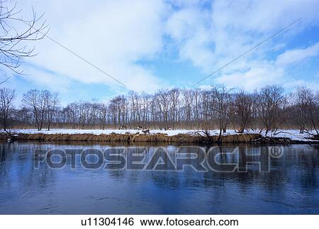 Kushiro Shitsugen, Hokkaido, Japan View Large Photo Image Stock Photograph - Kushiro Shitsugen, Hokkaido, Japan. Fotosearch