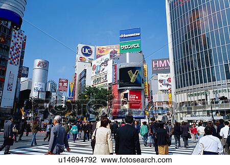 People crossing street in Shibuya, Tokyo, Japan View Large Photo Image Stock Image - People crossing street in Shibuya, Tokyo, Japan. Fotosearch