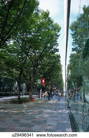 Stock Image - Sidewalk in Omotesando, Tokyo, Japan. Fotosearch