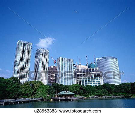 Skyscrapers and Japanese garden View Large Photo Image Stock Image - Skyscrapers and Japanese garden. Fotosearch