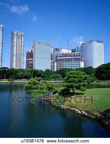 Skyscrapers and Japanese garden View Large Photo Image Stock Photograph - Skyscrapers and Japanese garden. Fotosearch