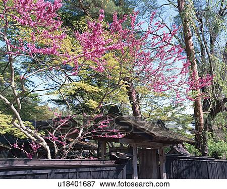 Stock Photo - Entrance of old house. Fotosearch