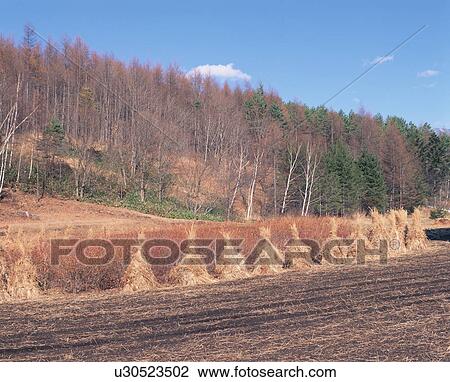 Stock Image - Rural scene in Nagano Prefecture, Japan. Fotosearch