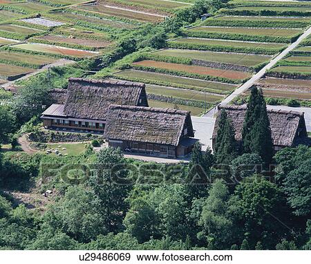 Stock Photo - Straw roof house and rice paddy. Fotosearch
