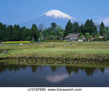 Mt Fuji, Gotenba, Shizuoka, Japan View Large Photo Image Stock Photography - Mt Fuji, Gotenba, Shizuoka, Japan. Fotosearch