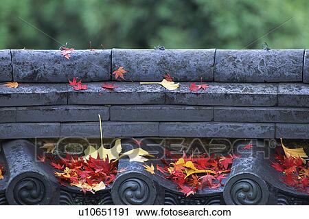 Red leaves on roof tiles View Large Photo Image Stock Image - Red leaves on roof tiles. Fotosearch