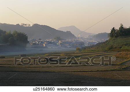Stock Image - Rice paddy in Asuka Village, Nara, Japan. Fotosearch