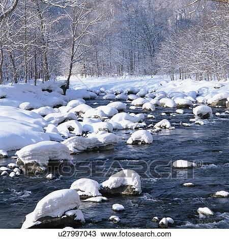 Snow covered Oirase River, Aomori, Japan View Large Photo Image Stock Image - Snow covered Oirase River, Aomori, Japan. Fotosearch