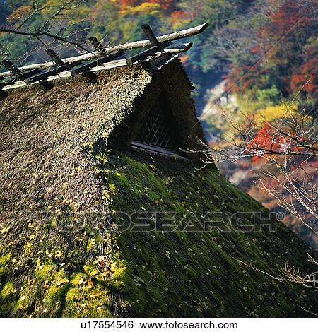 Straw roof house in Japan, close-up View Large Photo Image Stock Photograph - Straw roof house in Japan, close-up. Fotosearch