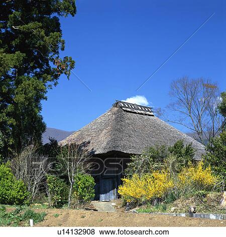 Stock Photo - Straw roof house in Japan. Fotosearch