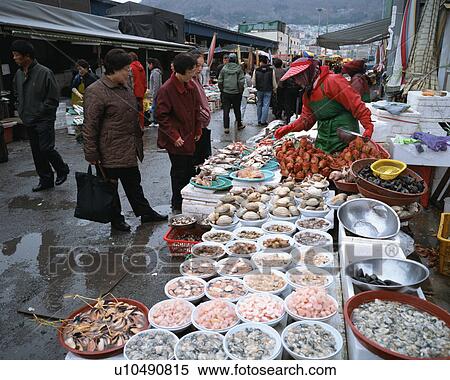 Seafood market in Pusan, Korea View Large Photo Image Stock Photography - Seafood market in Pusan, Korea. Fotosearch