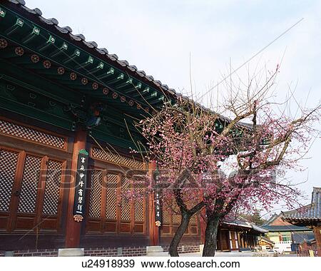 Stock Photo - Tongdosa Temple, Pusan, Korea. Fotosearch