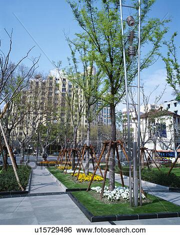 Hengshan Road, Shanghai, China View Large Photo Image Stock Photograph - Hengshan Road, Shanghai, China. Fotosearch