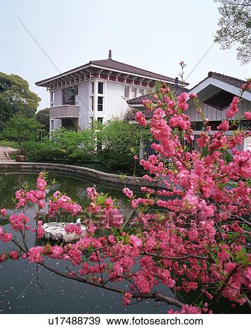 Stock Photo - Plum Garden, Wuxi, China. Fotosearch