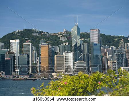 Picture - People's Republic of China, Hong Kong harbor, foliage in foreground. Fotosearch